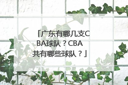 广东有哪几支CBA球队？CBA共有哪些球队？