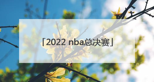 「2022 nba总决赛」2022nba总决赛库里43分